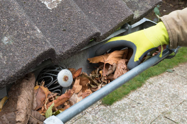 The Role of Gutter Guard Cleaning in Home Maintenance