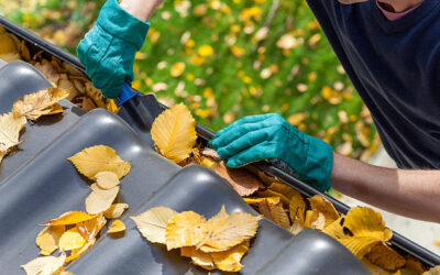 Why Clean Gutter Guards Are Essential for Proper Drainage