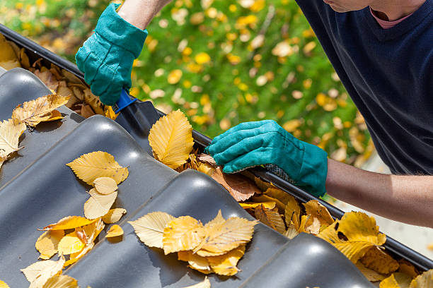 Why Clean Gutter Guards Are Essential for Proper Drainage